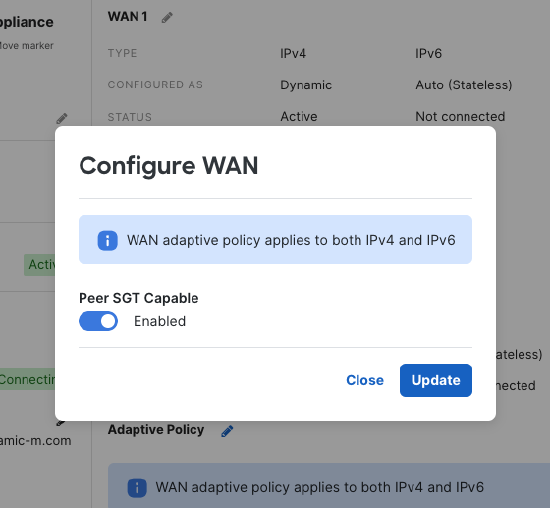 Configure WAN for Peer SGT capable option.