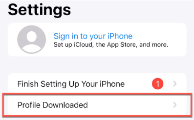 Open the Settings app and select the 'Profile Downloaded' option to proceed.