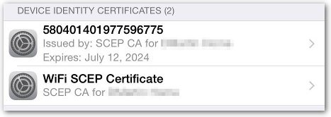 Device identity certificates