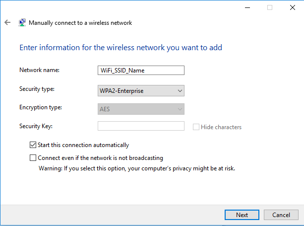 Network name, security type, encryption type, security key, start this connection autromatically.