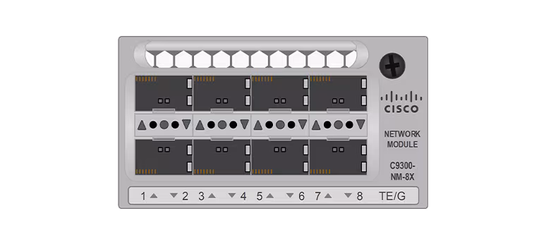 Photo of a C9300-NM-8X-M accessory.