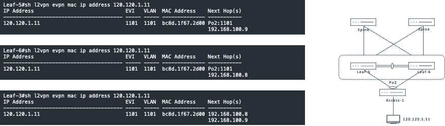 EVPN Multi-Homing verification output and topology showing client MAC and IP information learned through the downstream port-channel on both Leaves.