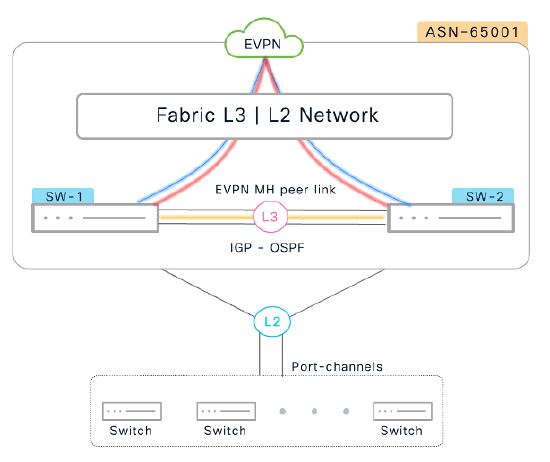 EVPN Multi-Homing distribution-layer topology showing two Fabric Leaf switches connected by a routed inter-ES link and providing active/active Layer 2 port-channel connectivity to downstream access switches.