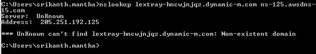 Screenshot of the output of running nslookup [hostname] [server] command, using the server found from the previous query.