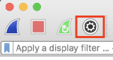 UI of Wireshark Capture options button
